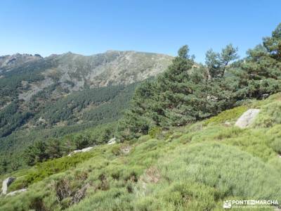 Refugio y vuelta al Pico de la Najarra; os ancares fuentes carrionas parque cabañeros donde nace el 